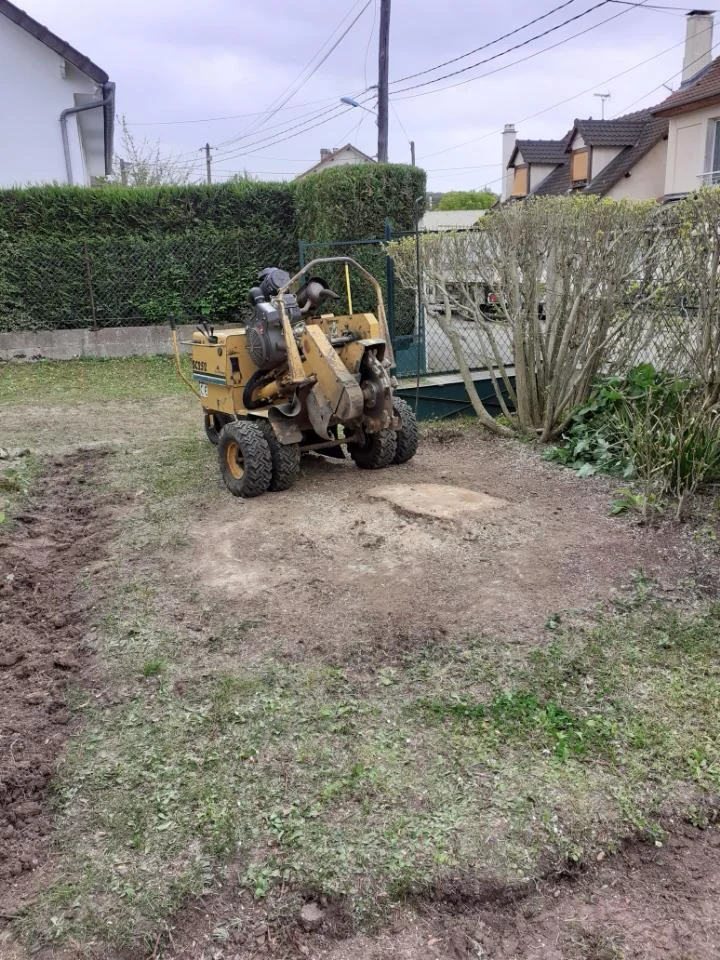 Dessouchage de souche dans les Yvelines