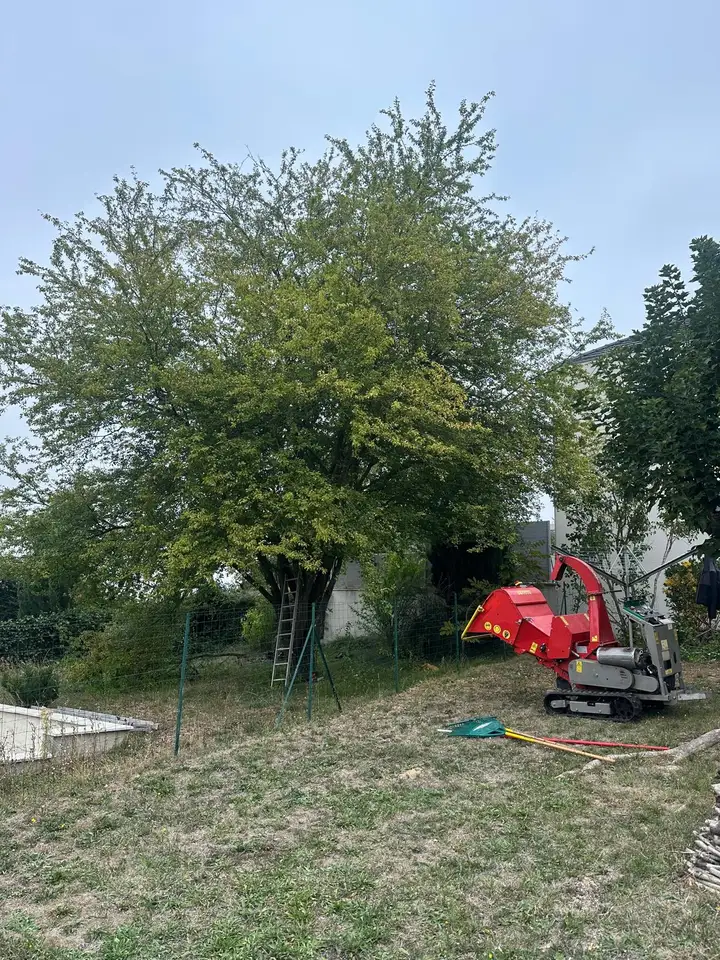 Broyeur de branches et arbre dans un jardin