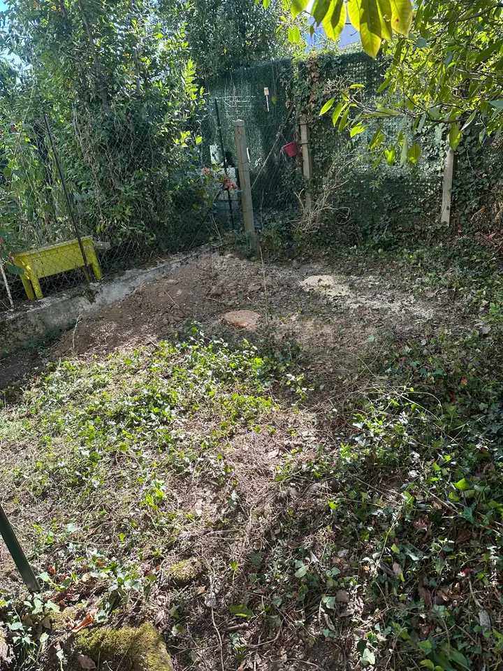 Terrain avec végétation coupée et branches au sol