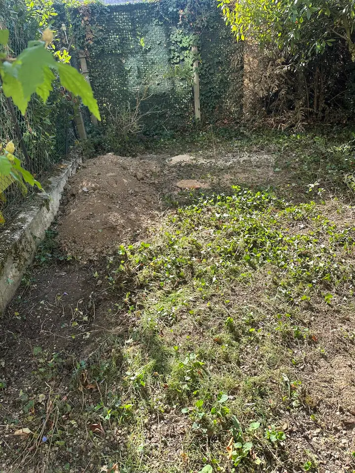 Sol dégagé dans un jardin bordé d'arbres